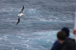 antarctica express cruise