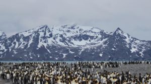Falkland Islands, South Georgia and Antarctic Peninsula