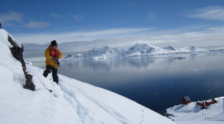 Photo of Cruise South, Fly North Antarctica Peninsula