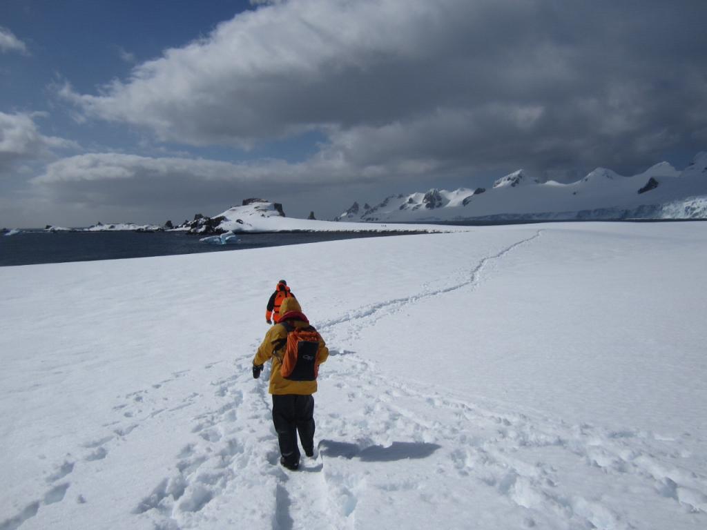 antarctica express cruise