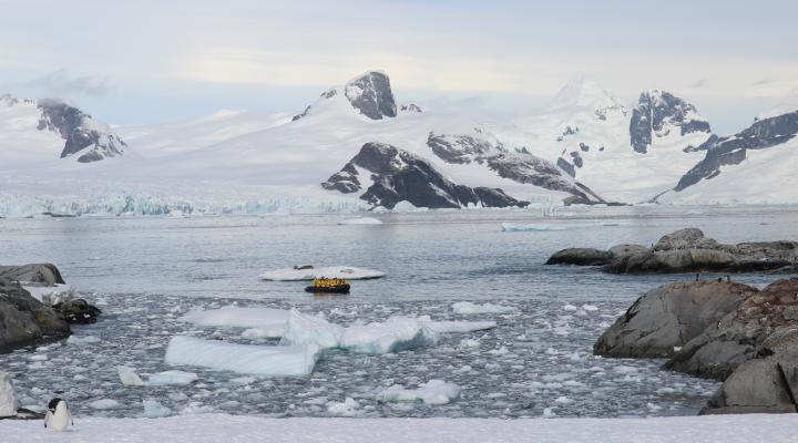 Photo of Antarctica Classic with Charter Flights