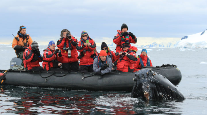 Photo of Crossing the Circle: Southern Expedition