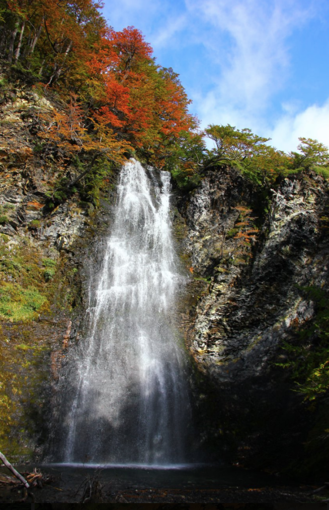 Three hikes to Enjoy the Fall Colors in Ushuaia - Freestyle Adventure ...