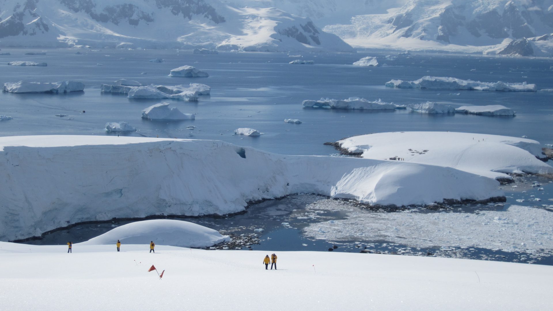 Photo of Antarctica Classic (11 days)