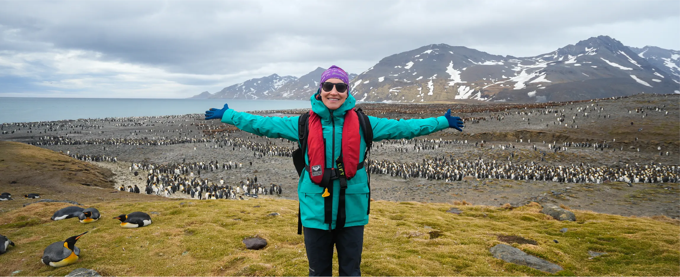 Antarctica, South Georgia & Falklands/Malvinas (19 days) - Small & Intimate Ship